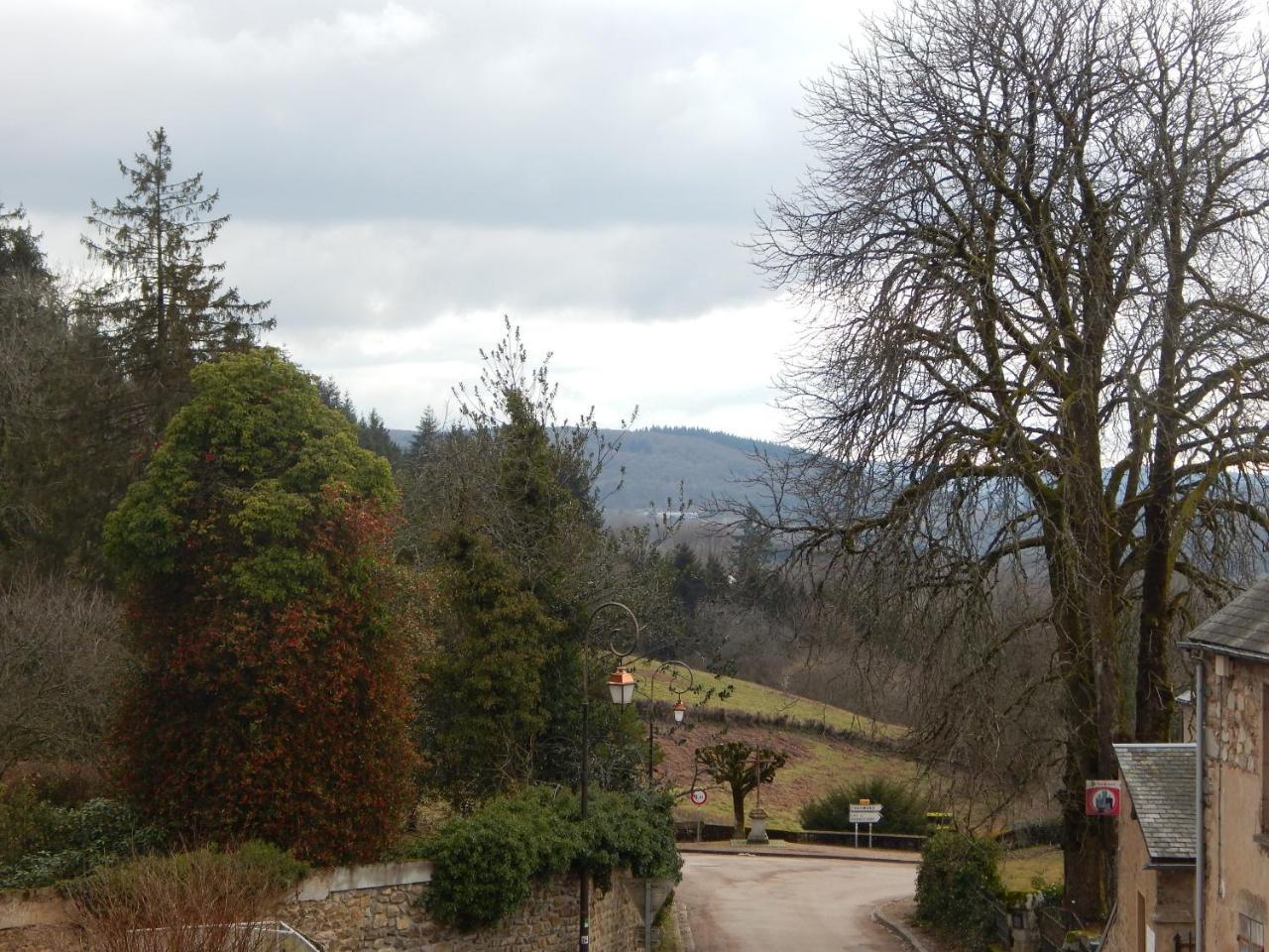 Le Lion D'Or Hotel Ouroux-en-Morvan Exterior photo